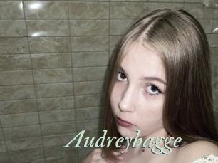 Audreybagge