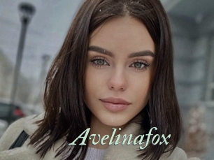 Avelinafox