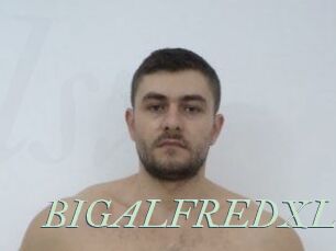 BIGALFREDXL