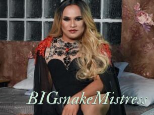 BIGsnakeMistress