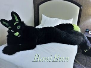 BaniBun