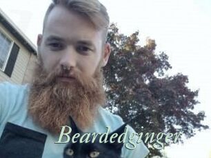 Beardedginger