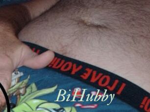 BiHubby