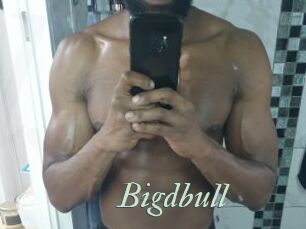Bigdbull