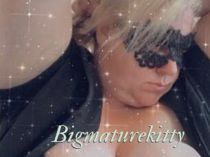 Bigmaturekitty