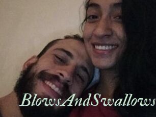 BlowsAndSwallows