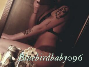 Bluebirdbaby096