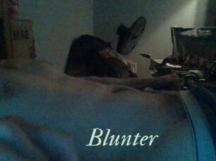 Blunter