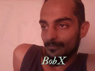 BobX