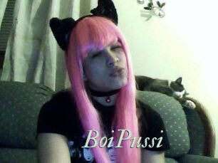 BoiPussi