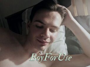 BoyForUse