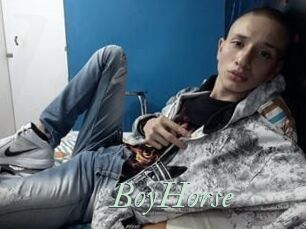BoyHorse