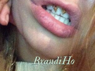 BrandiHo