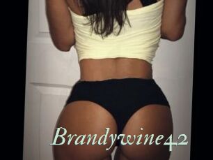 Brandywine42