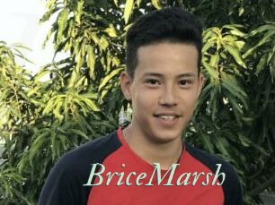BriceMarsh