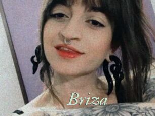 Briza