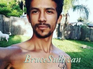 Bruce_Sullivan