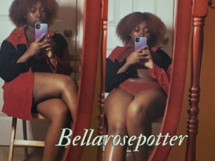 Bellarosepotter