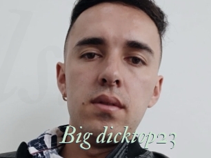 Big_dicktop23