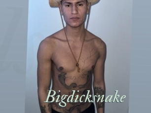 Bigdicksnake