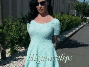 Bigpussylips