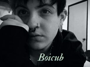 Boicub