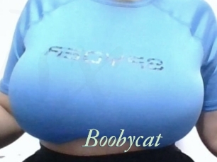 Boobycat
