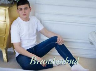 Brandonbud