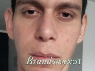 Brandonsex01