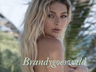 Brandygoeswild