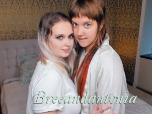 Breeandantonia