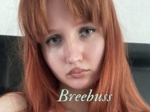 Breebuss