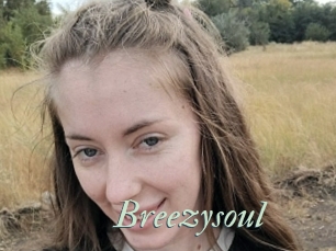 Breezysoul