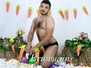 Brunosains