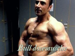 Bull_dosemuscles
