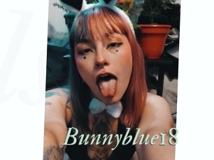 Bunnyblue18