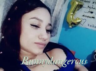 Bunnydangerous