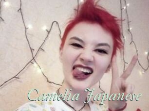 Camelia_Japanese
