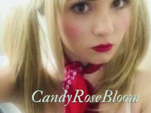 CandyRoseBloom