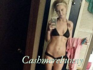Cashmerebunny