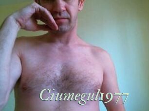 Ciumegul1977