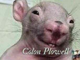 Colon_Plowell