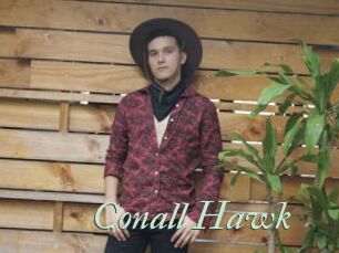 Conall_Hawk