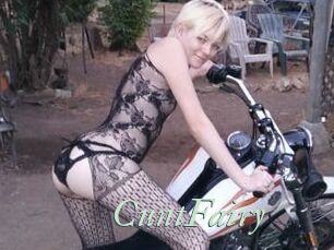 CuntFairy
