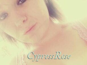 Cypress_Rose
