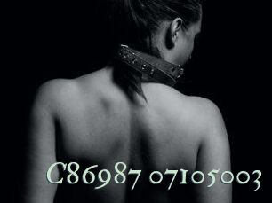 C86987-07105003