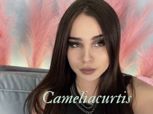 Cameliacurtis
