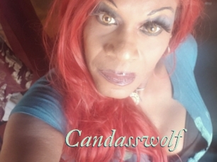 Candasswolf