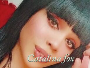 Catalina_fox