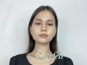 Catefelt